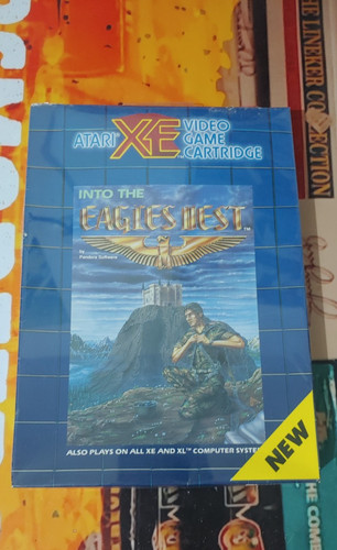 Into the eagle - into, nest